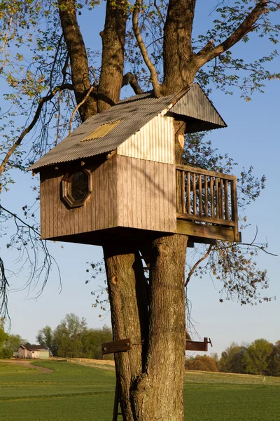 Детский домик на дереве — стоковое фото