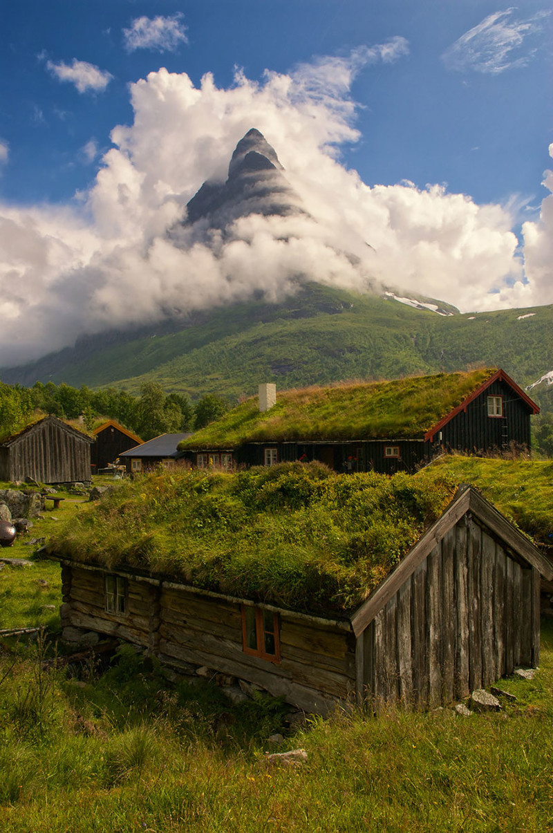 Норвегия дом, крыша, озеленение, скандинавия