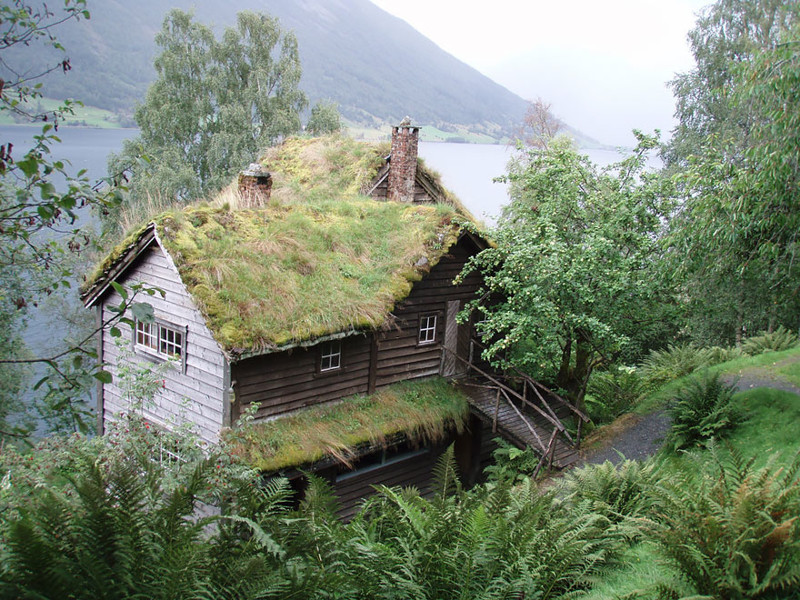 Йёльстер, Норвегия дом, крыша, озеленение, скандинавия