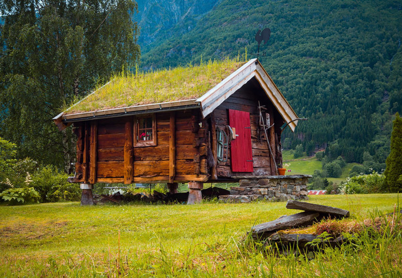 Норвегия дом, крыша, озеленение, скандинавия