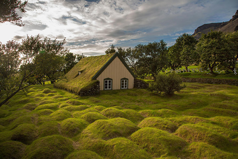 Исландия дом, крыша, озеленение, скандинавия
