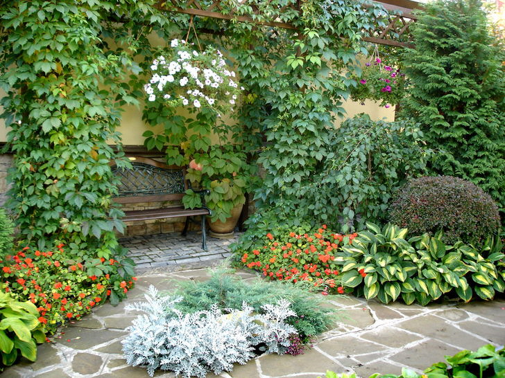Многообразие растительного мира во внутреннем дворике свидетельствует о наличии средиземноморского стиля. Цветущие растения, вьющийся дикий виноград делают атмосферу романтической.