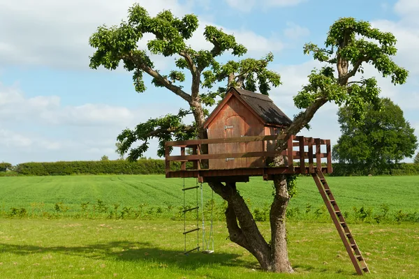 Красивые творческих дерево дом — стоковое фото