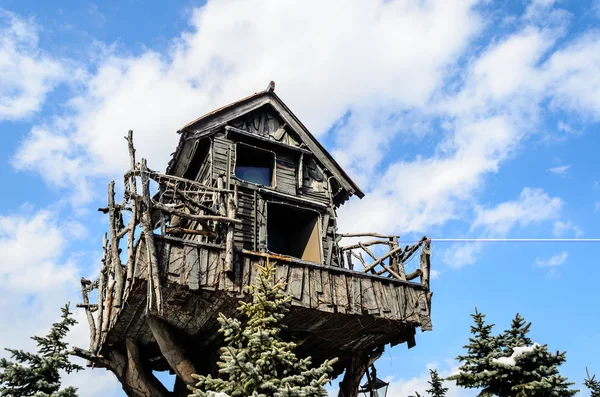 Дом на большое дерево зимой — стоковое фото