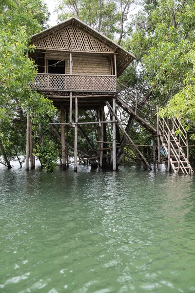 Treehouse на реке Neyyar — стоковое фото