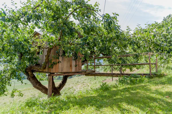 Домик на дереве — стоковое фото