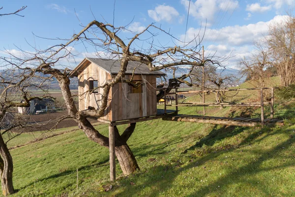 Дом на дереве - дом - ферма — стоковое фото