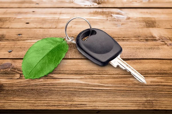 Ключи от дома с зеленым листом — стоковое фото