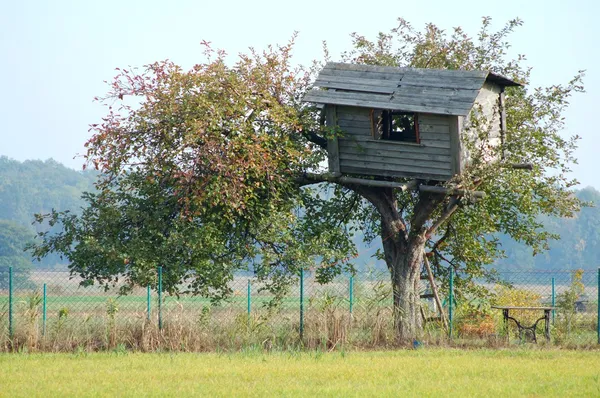 Дом на дереве — стоковое фото