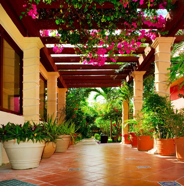 Озелененная терраса дома с цветами — стоковое фото